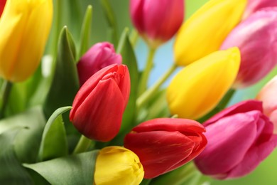 Photo of Beautiful colorful tulip flowers as background, closeup