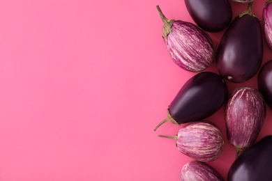 Photo of Raw ripe eggplants on pink background, flat lay. Space for text