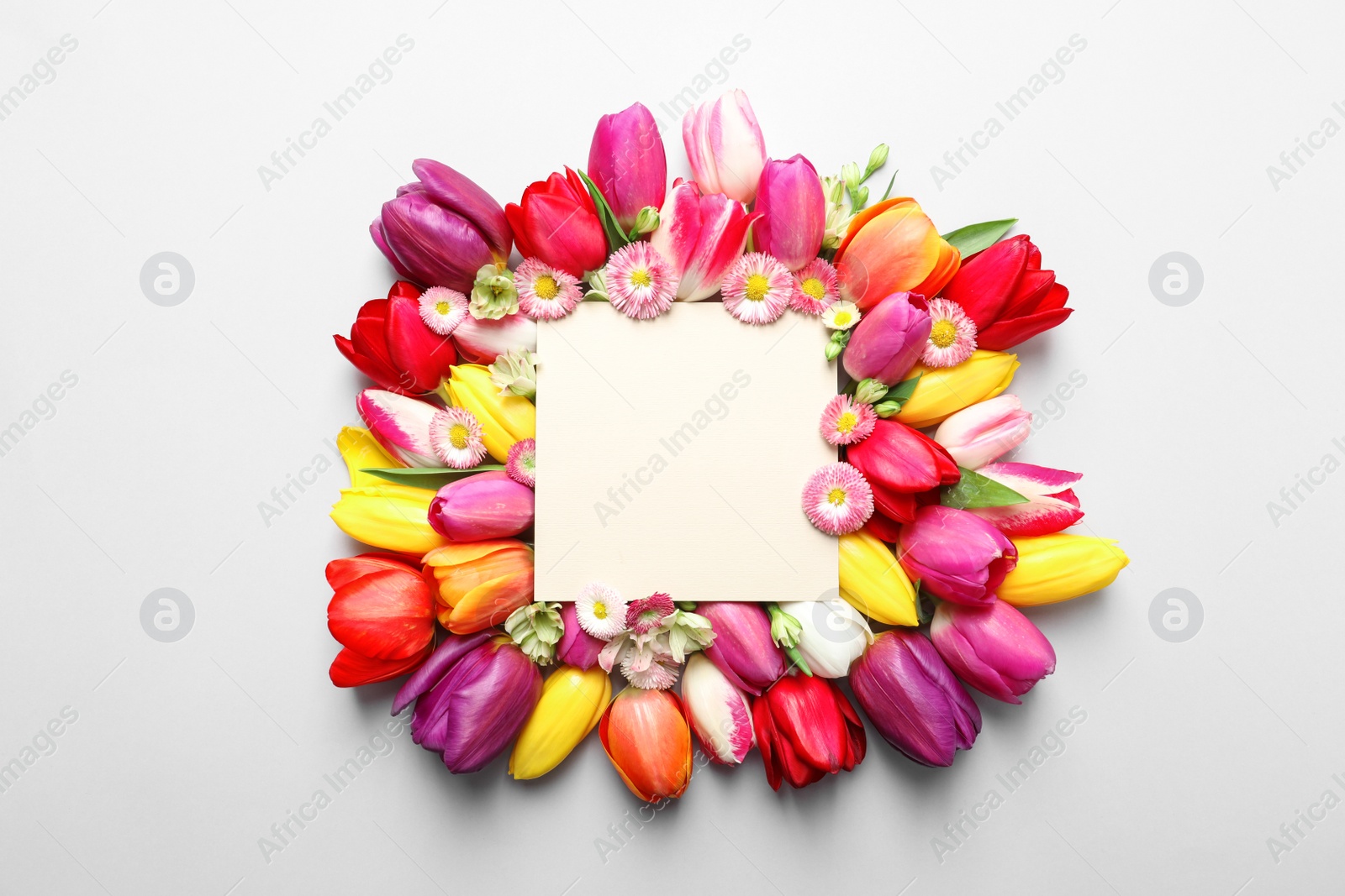 Photo of Beautiful composition with spring flowers and blank card on white background, top view. Space for text