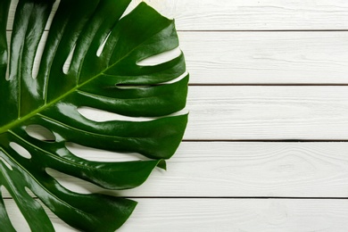 Beautiful monstera leaf on white wooden background, top view with space for text. Tropical plant