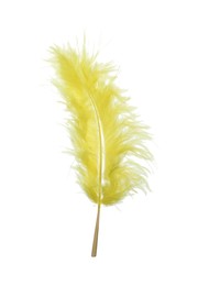 Photo of Fluffy beautiful yellow feather isolated on white