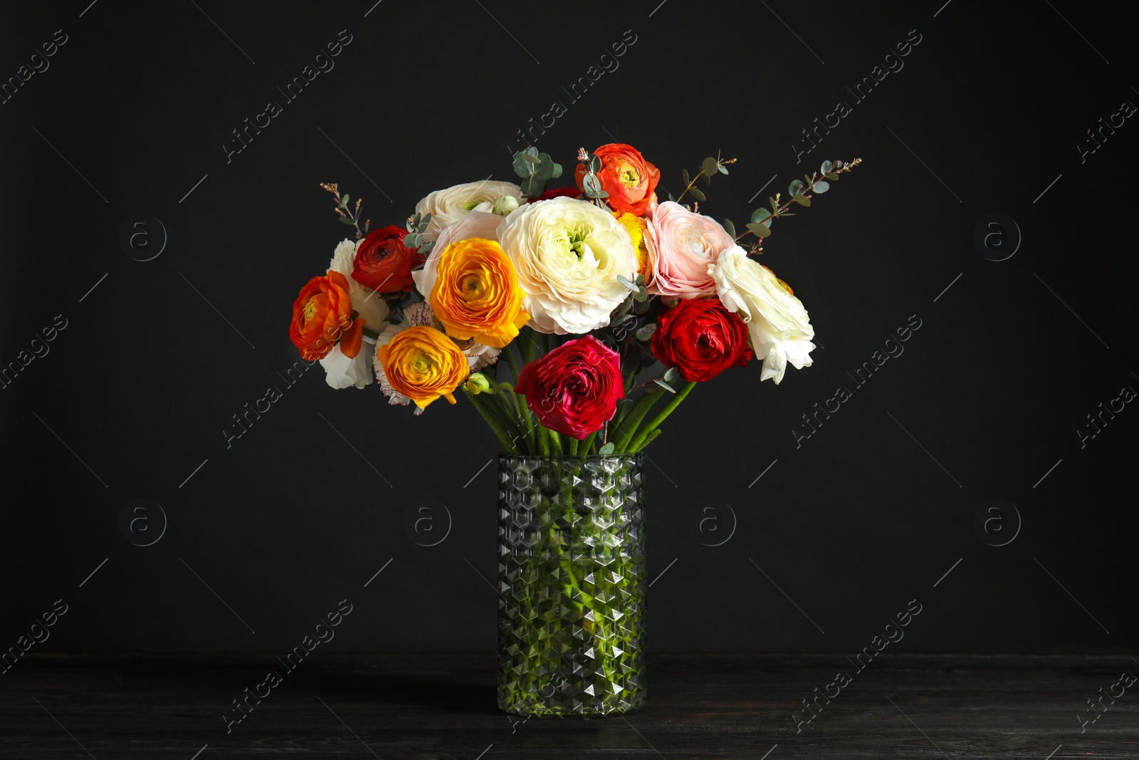 Photo of Vase with beautiful spring ranunculus flowers on table against dark background