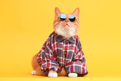 Photo of Cute ginger cat in stylish sunglasses and checkered shirt on yellow background