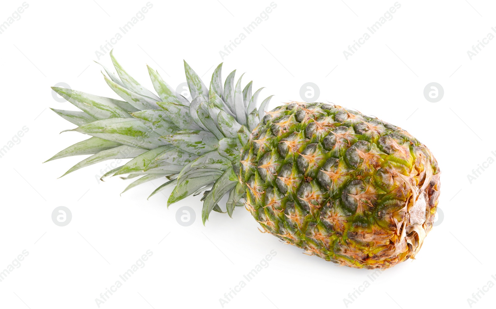 Photo of One delicious ripe pineapple isolated on white