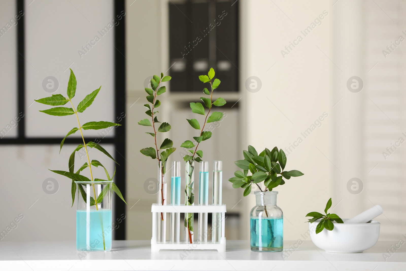 Photo of Many glass tubes with leaves on white table indoors