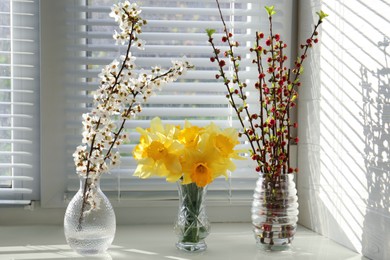 Photo of Yellow daffodils and beautiful branches in vases on windowsill