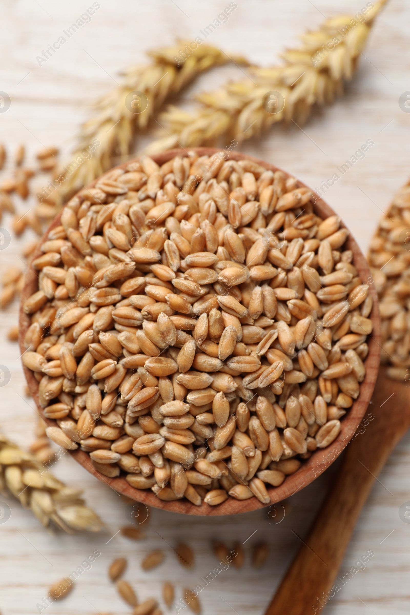 Photo of Wheat grains in bowl on white wooden table, top view