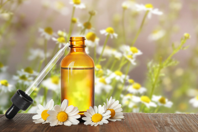 Bottle of essential oil and chamomile flowers on wooden table against blurred background. Space for text