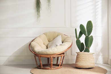 Stylish room with beautiful potted cactus and papasan chair. Interior design