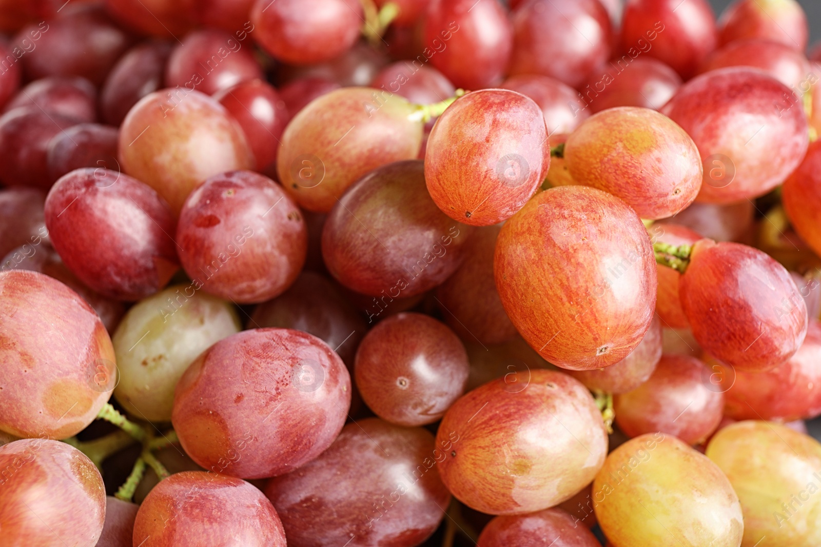 Photo of Fresh ripe juicy pink grapes as background, closeup view