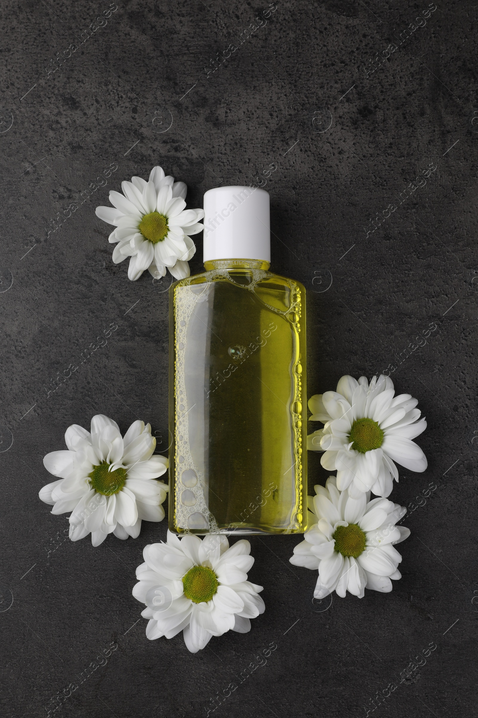 Photo of Fresh mouthwash in bottle and flowers on dark textured table, top view