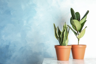 Photo of Exotic potted plants on table near light wall, space for text. Home decor