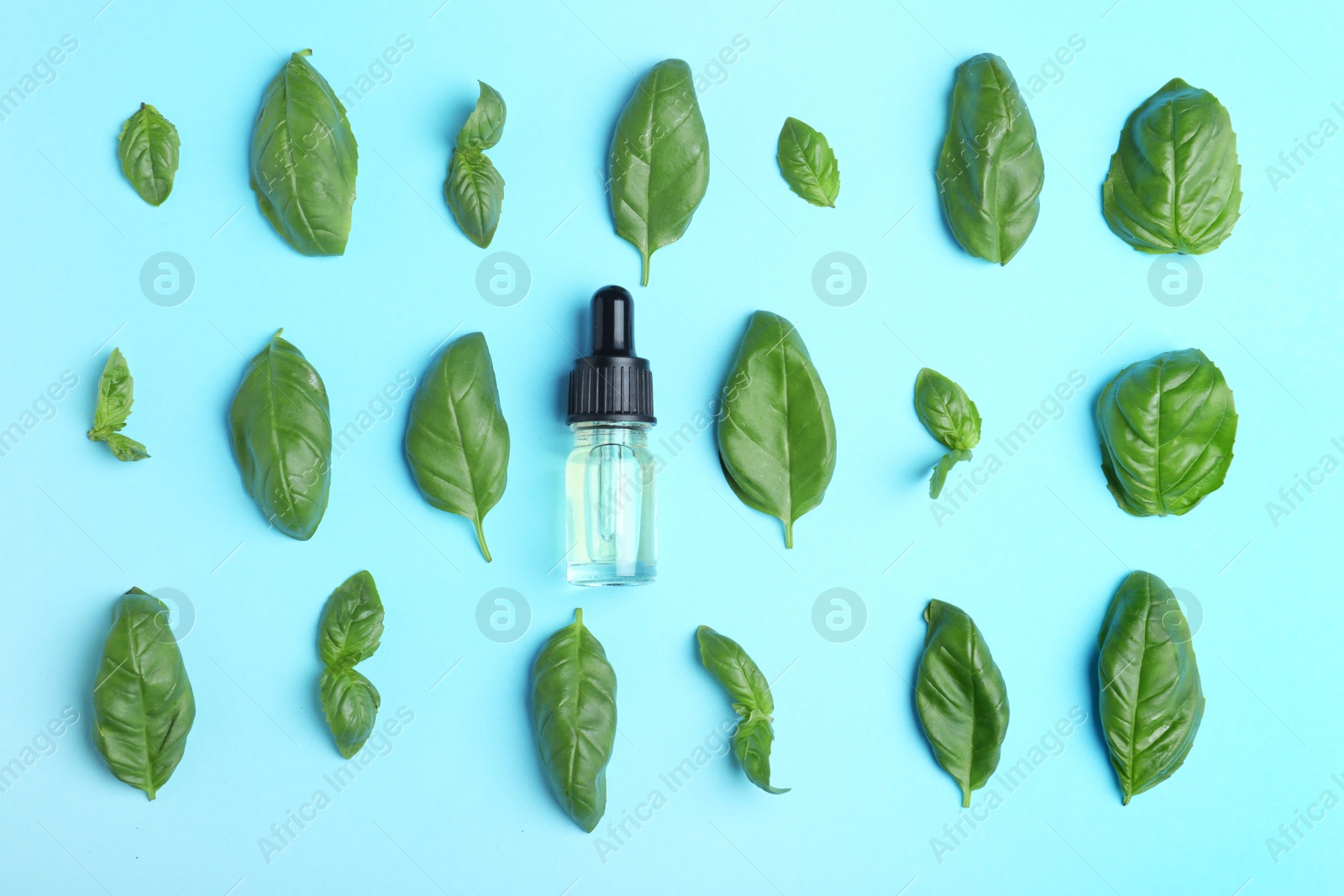 Photo of Flat lay composition with basil essential oil on light blue background