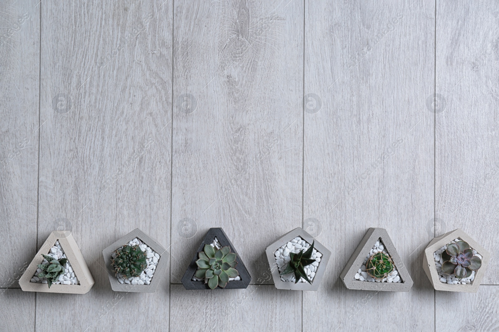 Photo of Flat lay composition with different houseplants in pots on wooden background, space for text