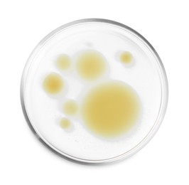 Photo of Petri dish with color liquid sample isolated on white, top view