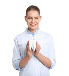Photo of Female dentist holding tooth model on white background