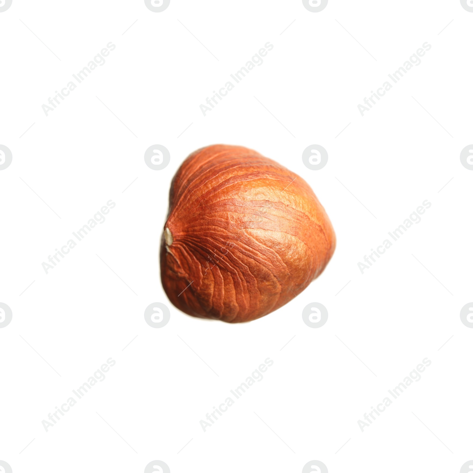 Photo of Tasty organic hazelnut isolated on white. Healthy snack