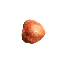 Tasty organic hazelnut isolated on white. Healthy snack