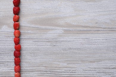 Grass stem with wild strawberries on white wooden table, top view. Space for text