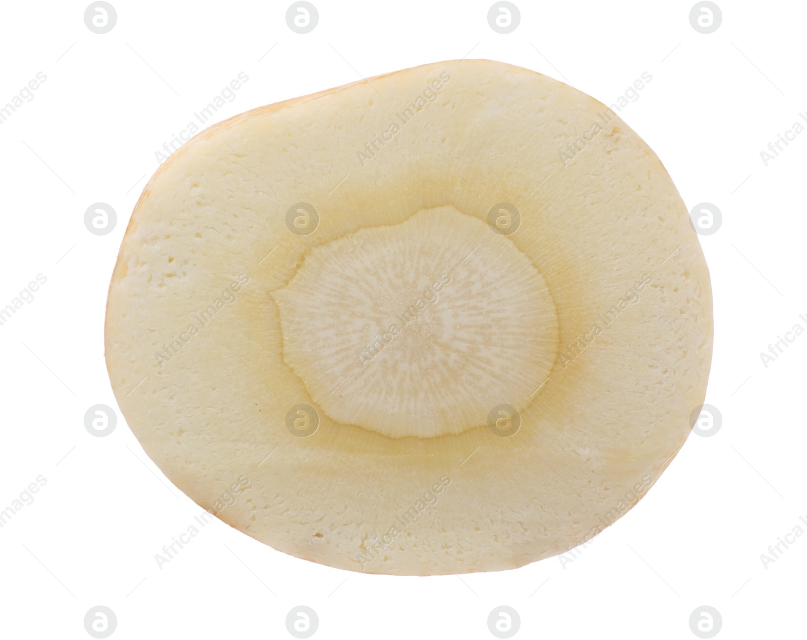 Photo of Piece of fresh parsnip isolated on white