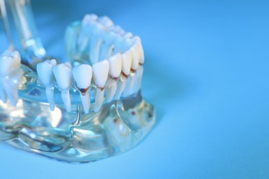 Photo of Educational dental typodont model with teeth on light blue background, closeup. Space for text