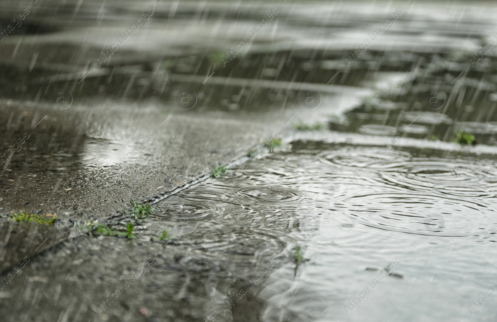 Photo of View of city street on rainy day, closeup