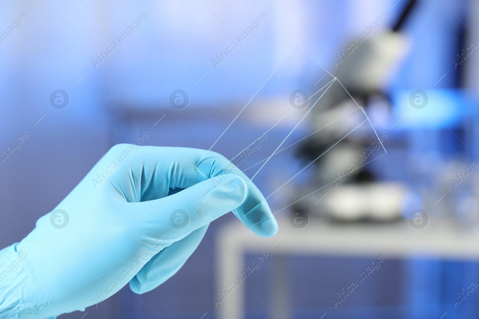 Photo of Scientist holding clean glass microscope slides in laboratory, closeup