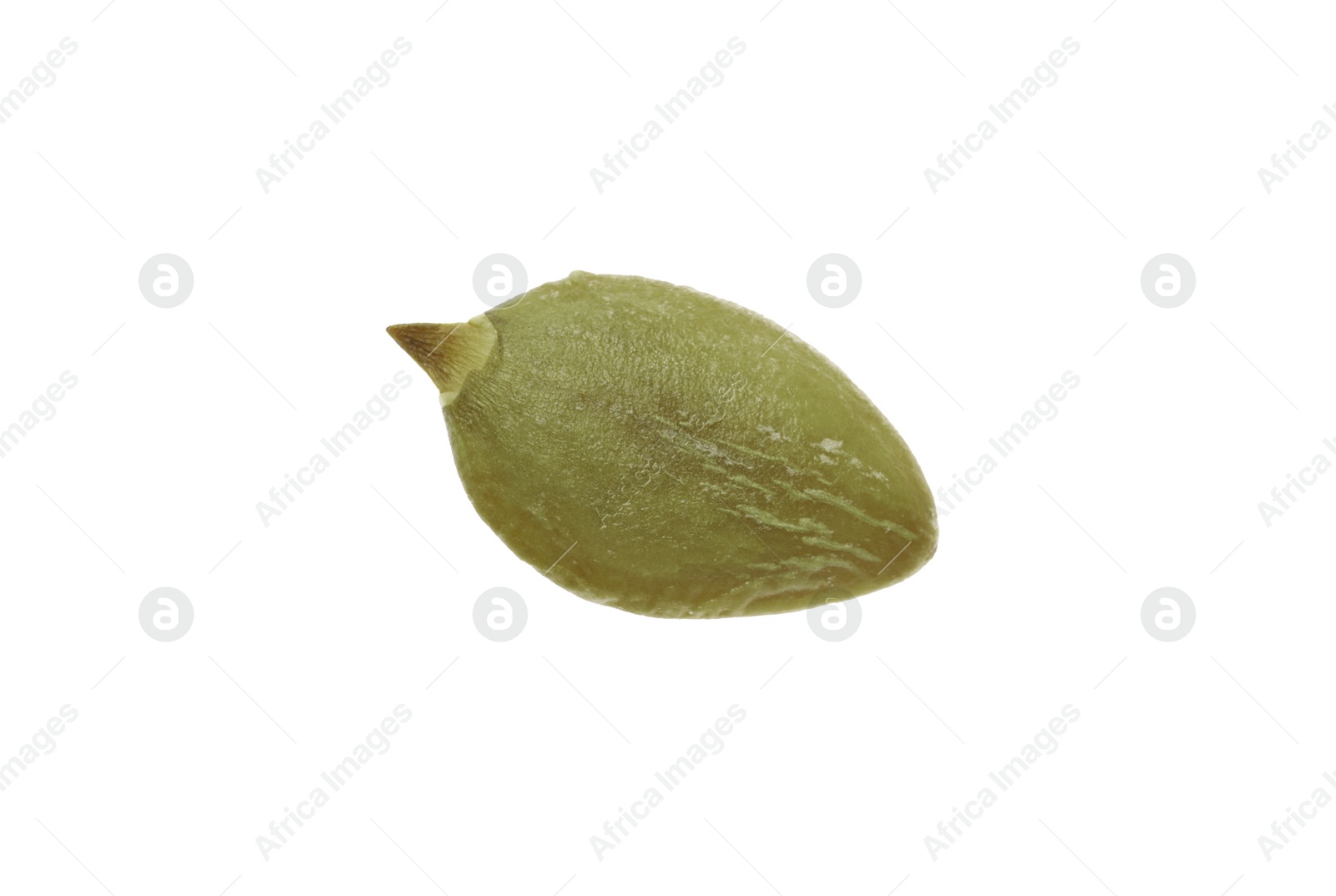 Photo of One peeled pumpkin seed isolated on white