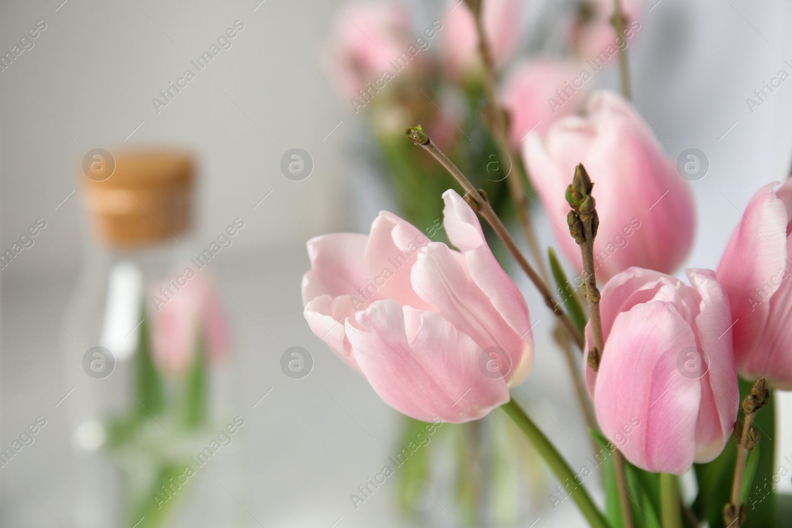 Photo of Beautiful bouquet with spring pink tulips on blurred background, closeup. Space for text