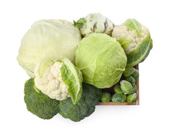 Wooden crate with different types of fresh cabbage on white background, top view