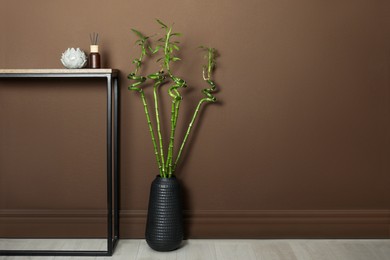 Photo of Vase with green bamboo stems on floor near brown wall indoors, space for text. Interior design