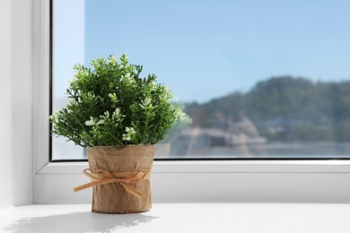 Artificial potted herb on sunny day on windowsill indoors, space for text. Home decor