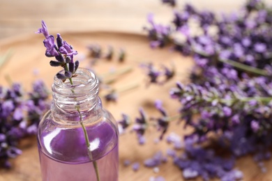 Glass bottle of natural cosmetic oil and lavender flowers on blurred background, space for text