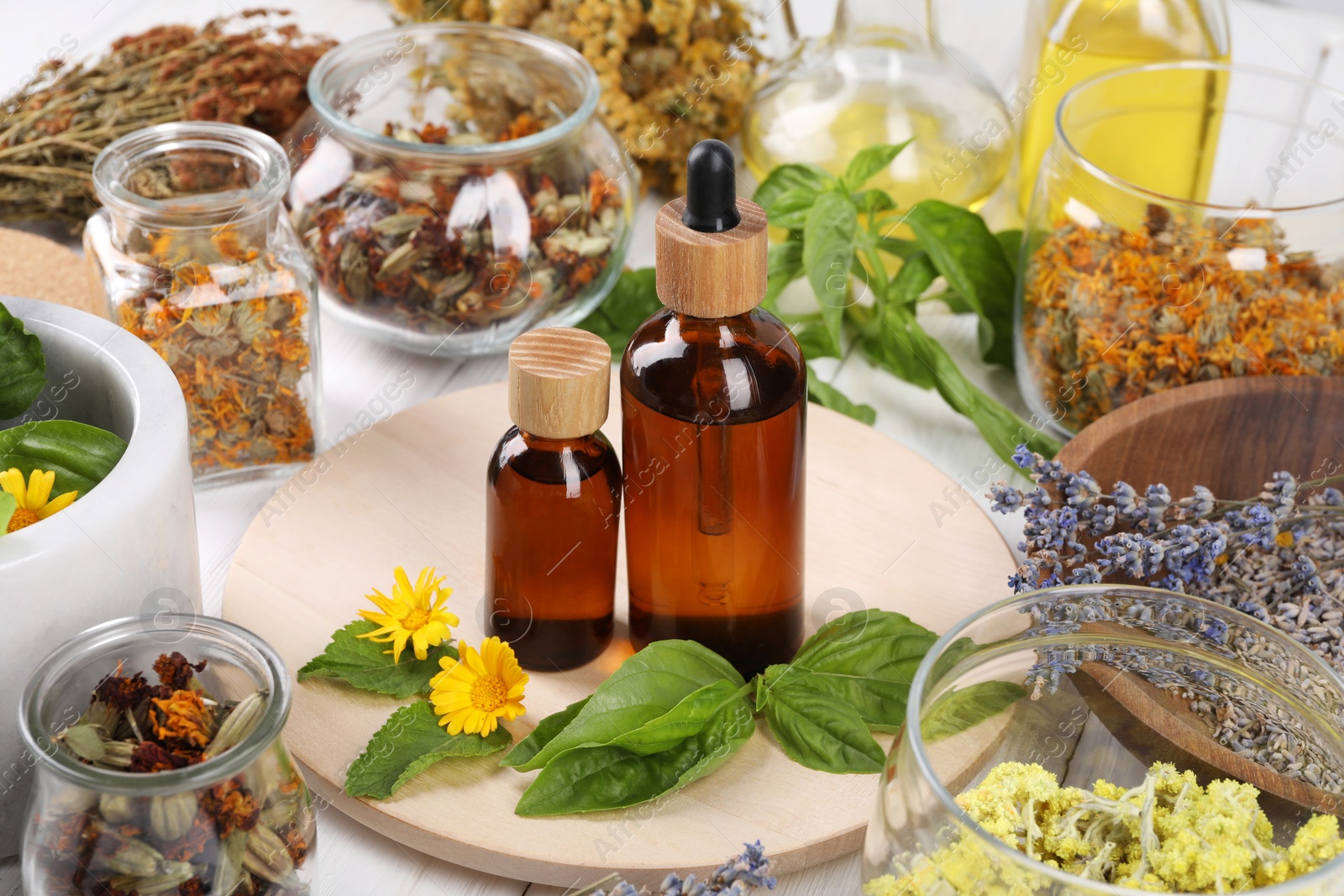 Photo of Bottles of essential oils surrounded by different medicinal herbs on table