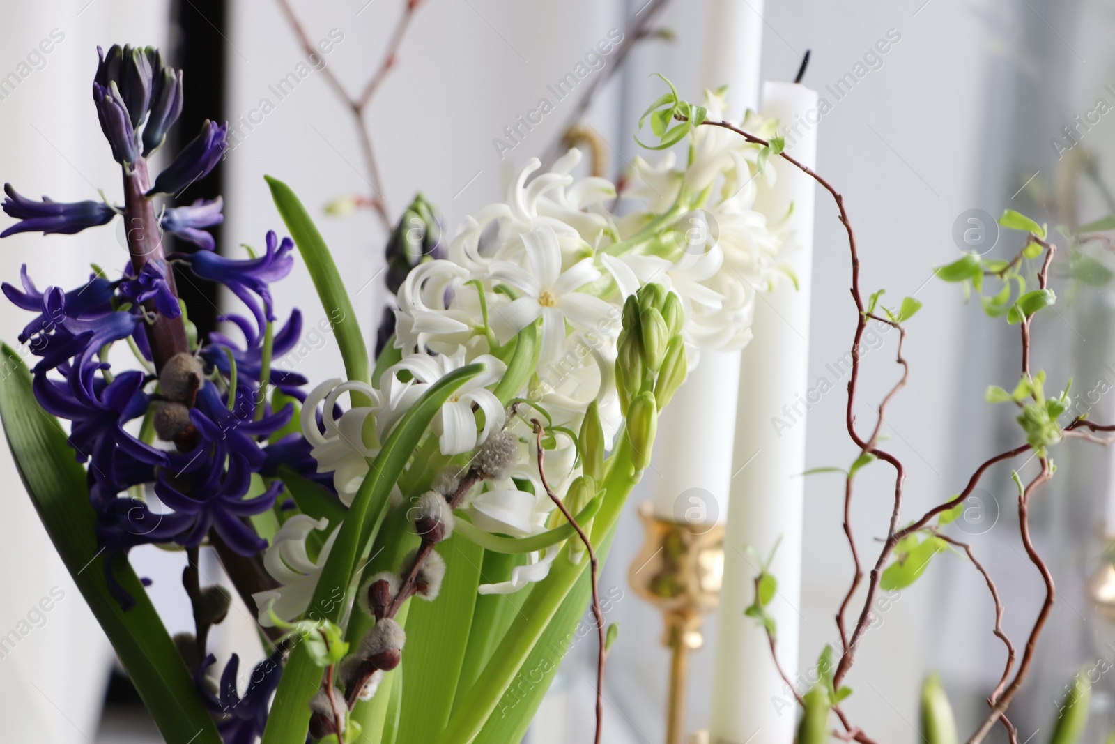 Photo of Beautiful spring Hyacinth flowers on window sill, closeup