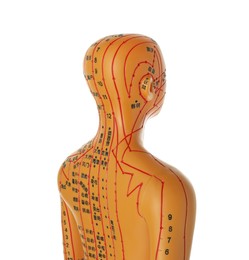 Photo of Acupuncture model. Mannequin with dots and lines isolated on white