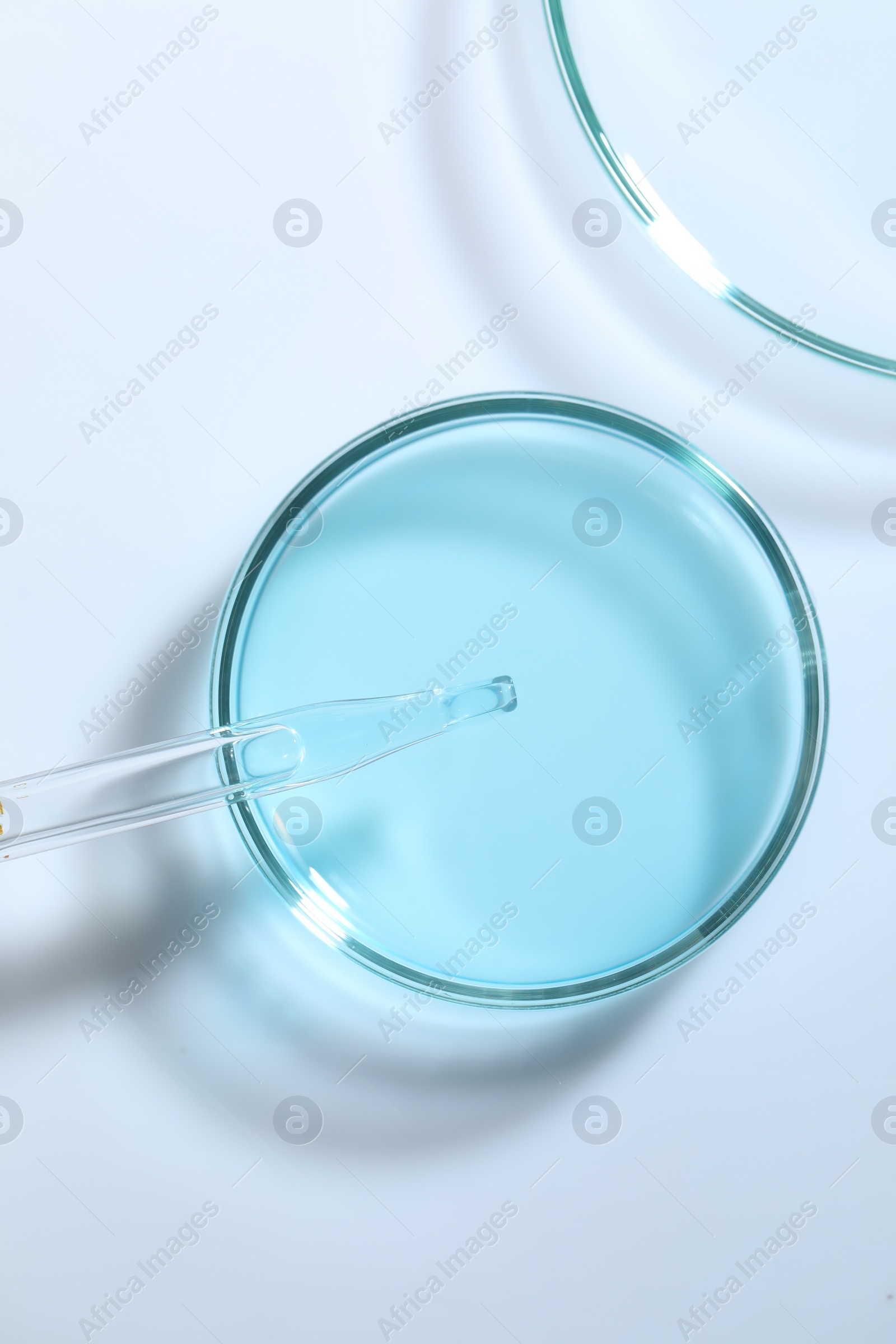 Photo of Pipette and petri dishes with liquid on white table, flat lay