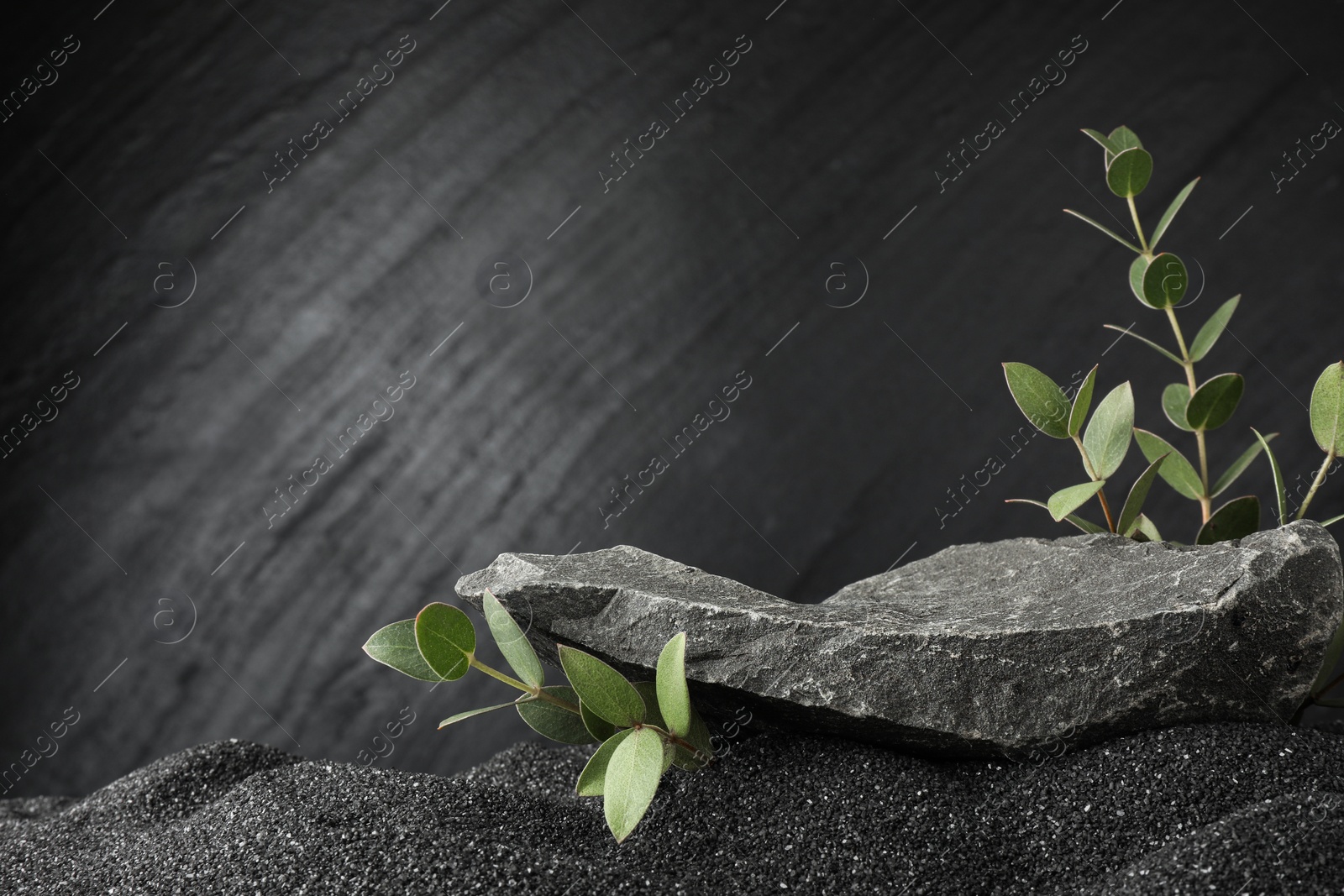 Photo of Presentation of product. Stone podium and green branches on black sand against dark textured background. Space for text