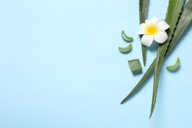 Cut aloe vera leaves and plumeria flower on light blue background, flat lay. Space for text