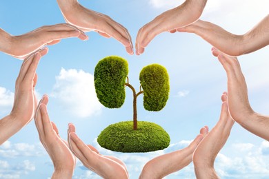 Image of Tree in shape of human kidneys and people forming heart with their hands against blue sky, closeup. Health care concept