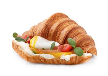 Tasty croissant with fried egg, tomato and microgreens isolated on white