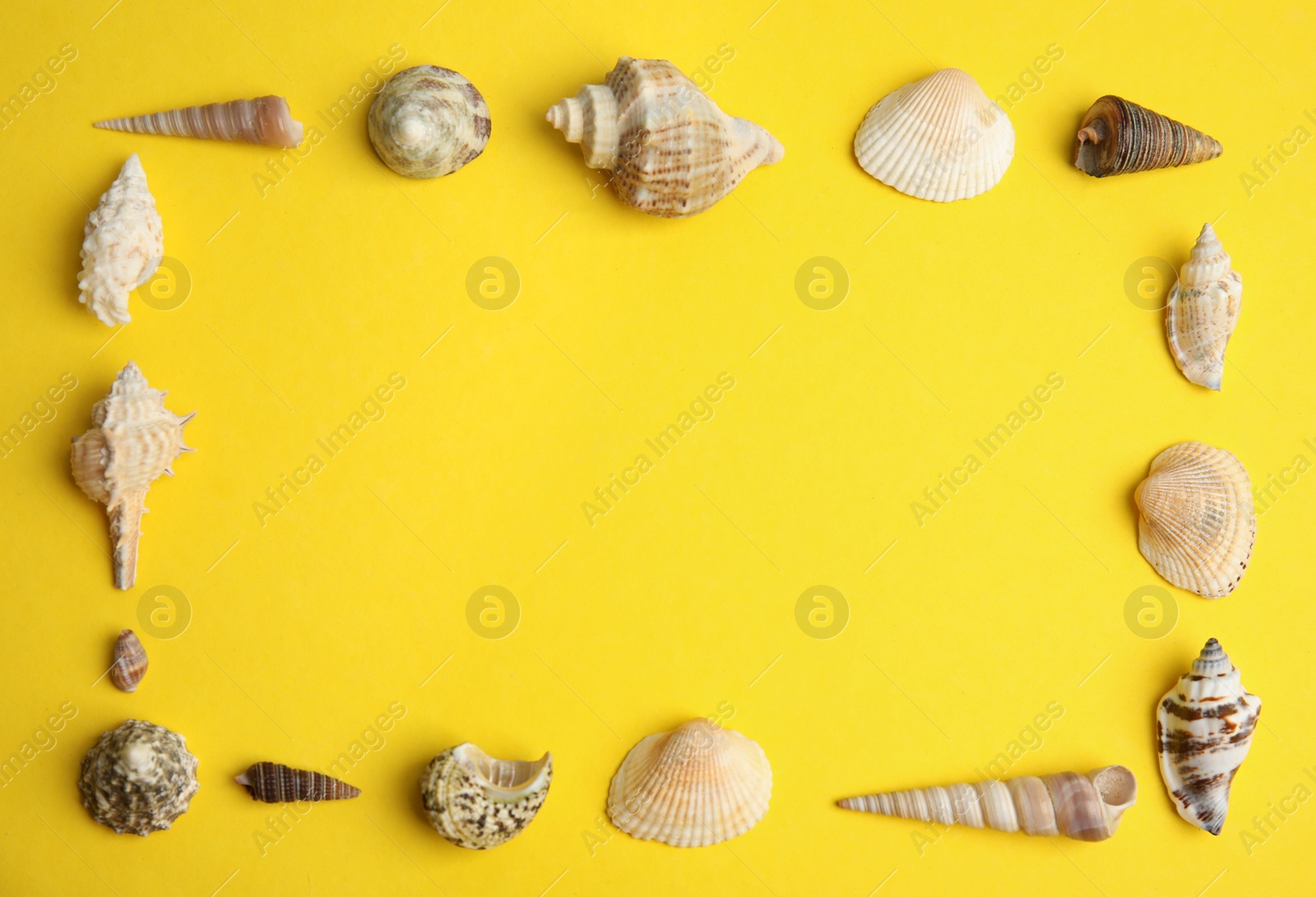 Photo of Frame made with different sea shells on yellow background, flat lay. Space for text