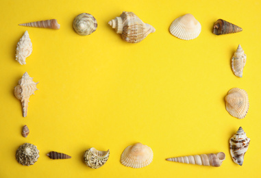 Frame made with different sea shells on yellow background, flat lay. Space for text