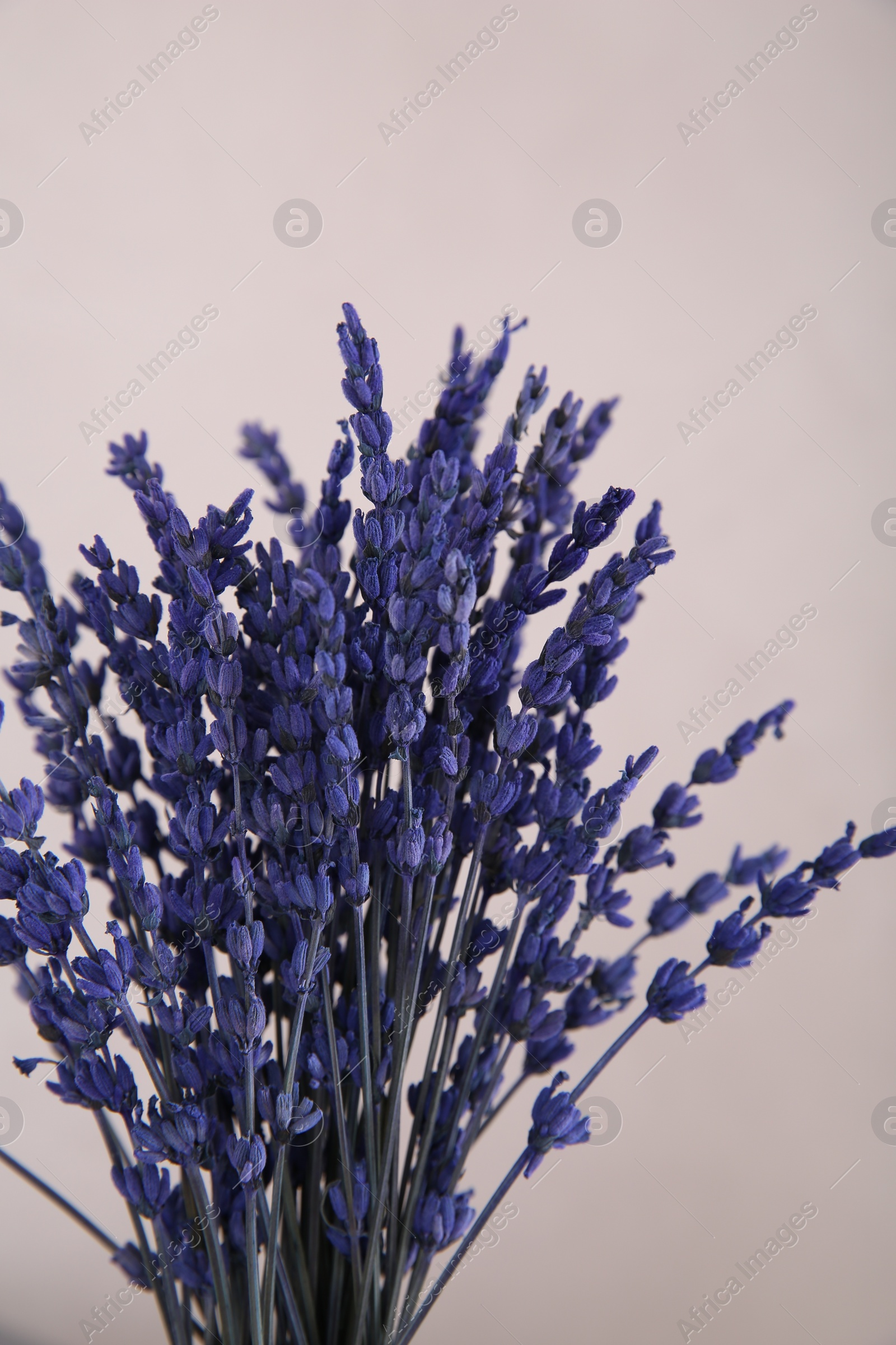 Photo of Bouquet of beautiful preserved lavender flowers on beige background