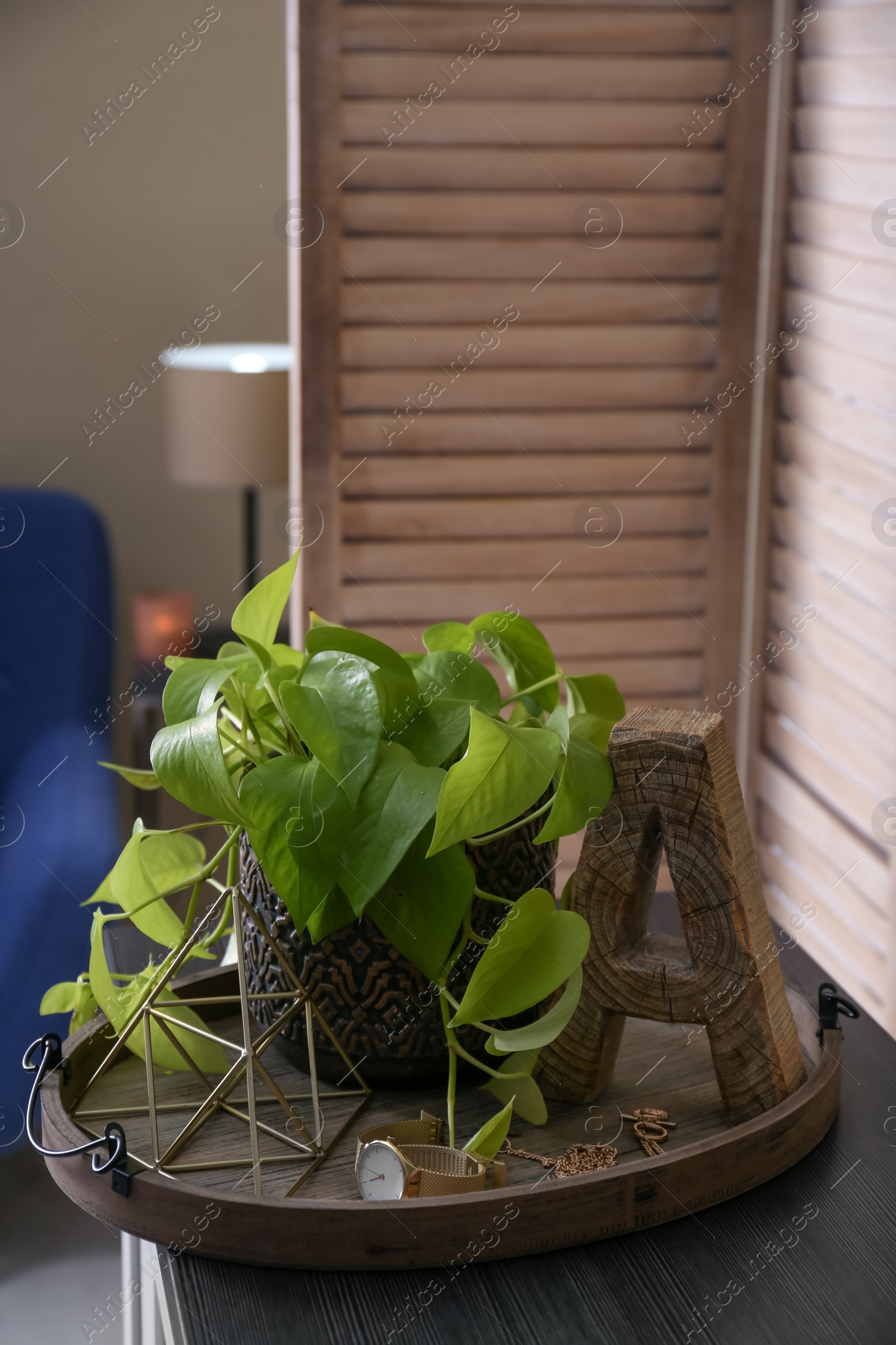 Photo of Stylish tray with different interior elements on wooden table in room