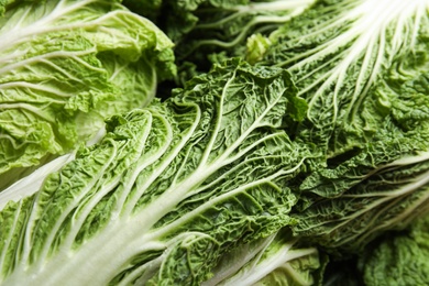 Photo of Fresh ripe Chinese cabbages as background, closeup