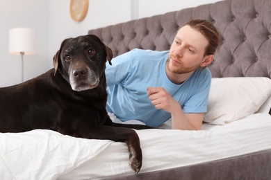 Photo of Adorable brown labrador retriever with owner on bed indoors