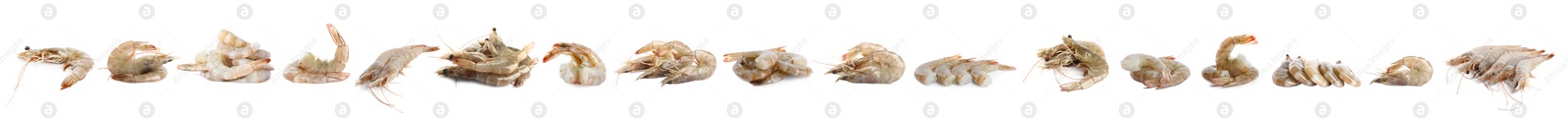 Image of Set of fresh raw shrimps on white background. Banner design 
