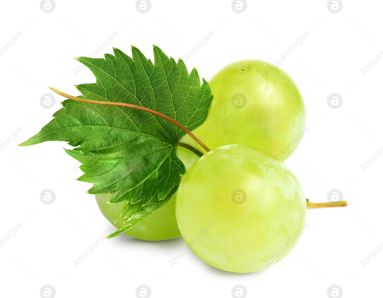 Photo of Fresh ripe juicy grapes isolated on white