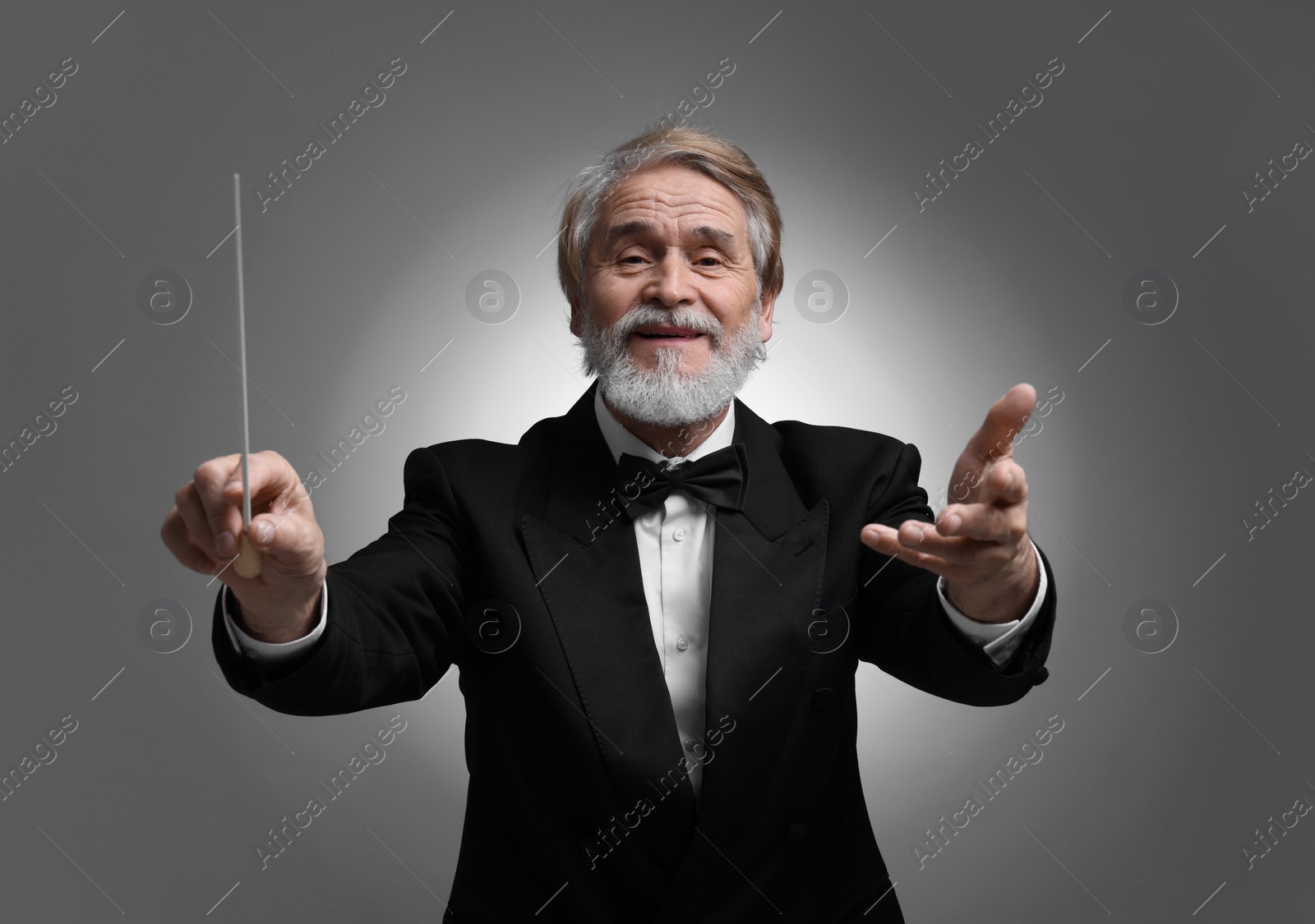 Photo of Professional conductor with baton on grey background